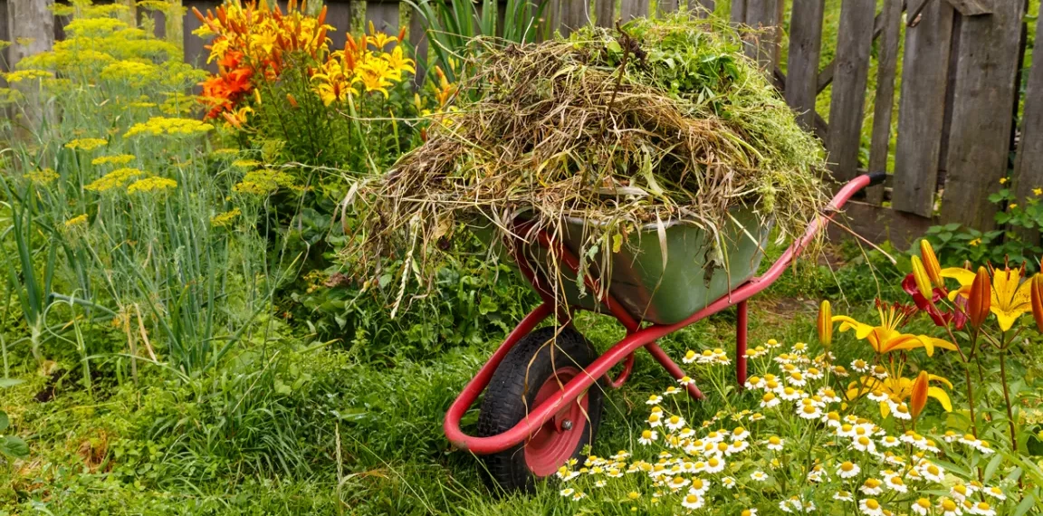 Gartenabfälle
